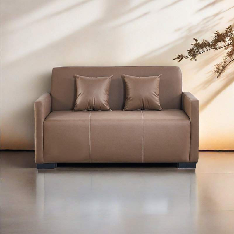 Canapé double moderne simple, Cuir brun