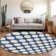  Colturo Area Rug