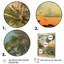 Collage rétro de la Floride, palmiers et plage - Floride, art mural-1474240378-1474240368