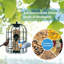 Mangeoire d'oiseaux Karle Tube