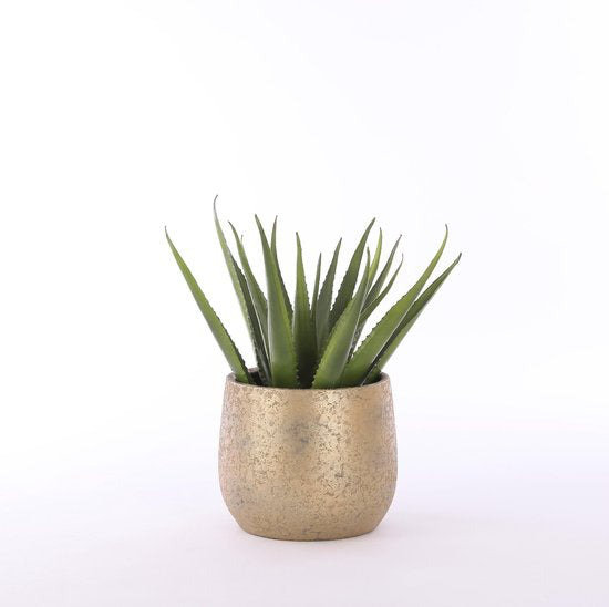 Thresa Pot Planter, 31 cm H x 38 cm W x 38 cm D