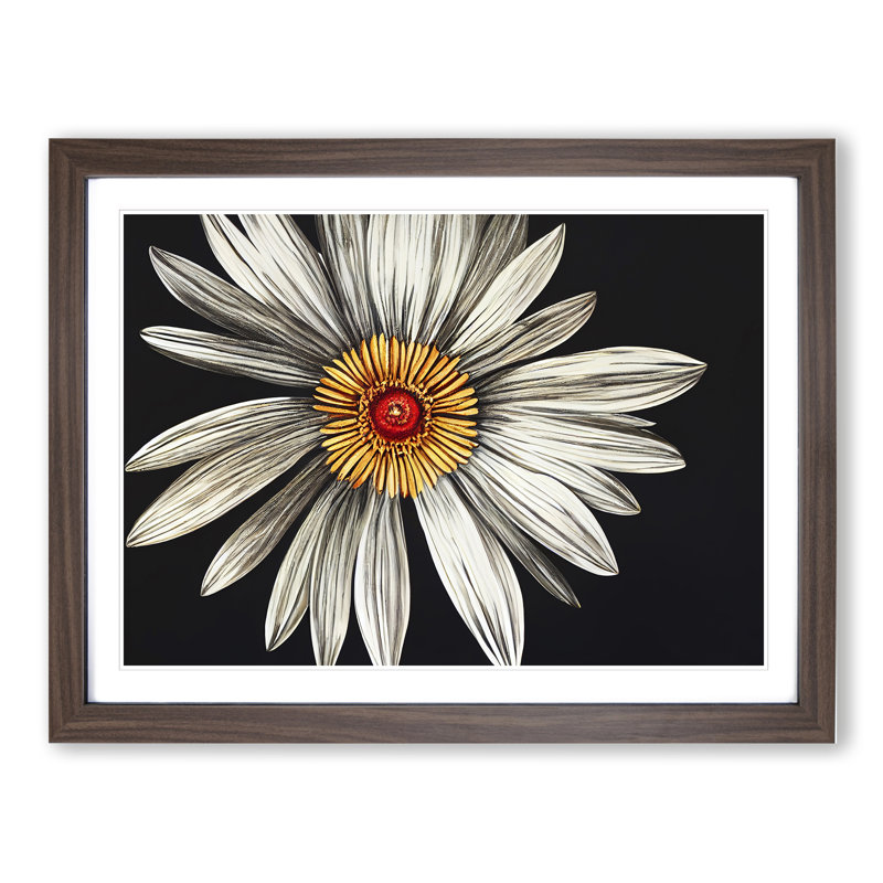 Flourishing Daisy Flower 1 Piece Single Picture Frame Wall Art, 34cm H x 46cm W x 2cm D, Walnut