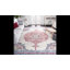 Tapis oriental rouge / ivoire Barcus-1578724031