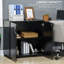 Aadyn 2 -Door 1 -Shelf Storage Cabinet-817430774