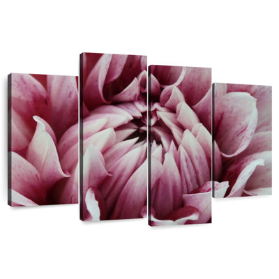 Pink Dahlia Fantasy