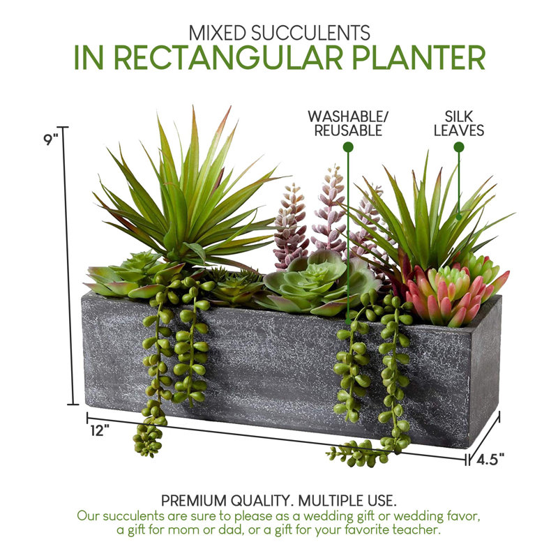 9'' Succulent Plant in Stone Planter