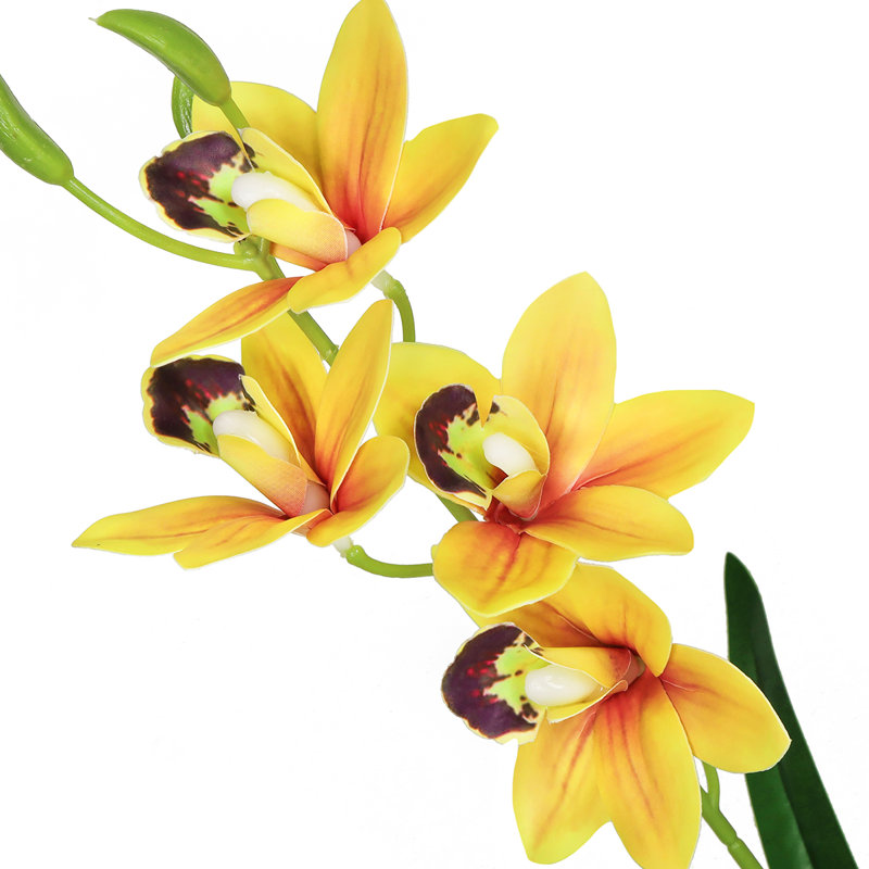 Cymbidium Orchid Stem, Yellow