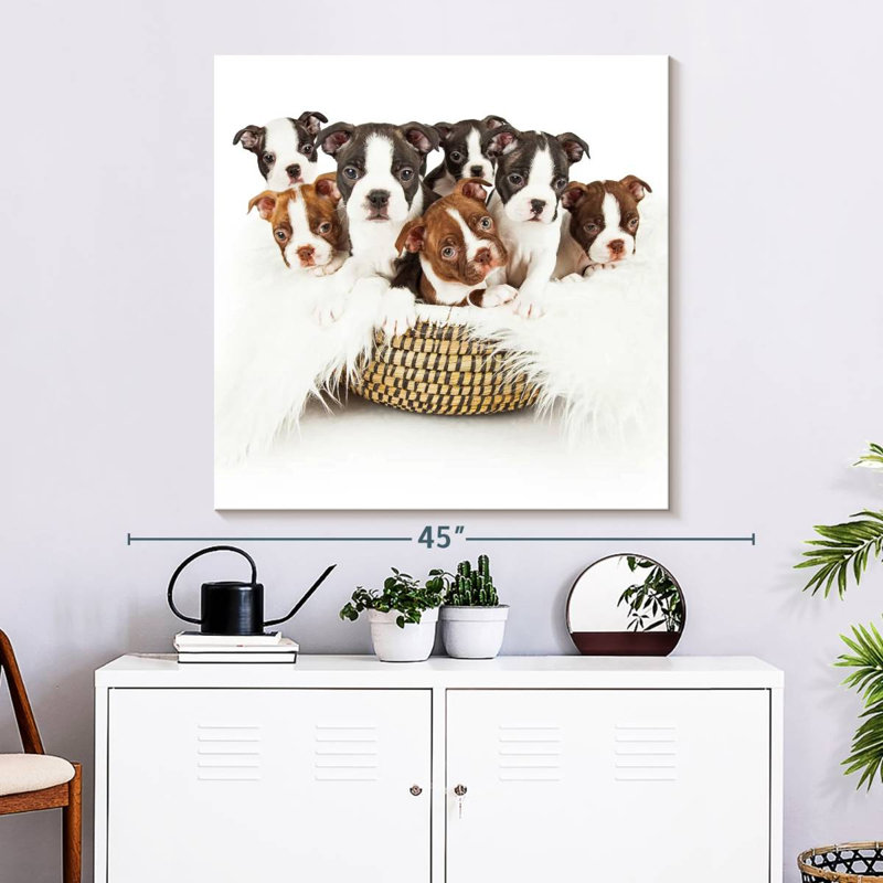 Brampt Boston Terrier Puppy Basket, 33" H x 33" W