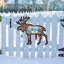 Tiburon Wood Christmas Decoration