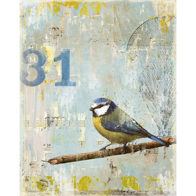 Aves 31 Print by Zoey Riley
