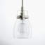 Shameka 1 - Light Single Bell Pendant-56056510