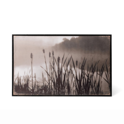 " Cattail "