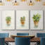 Succulent I, encadré sur toile, 3 pièces-163068307-163068310