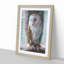 Barn Owl Vol.7 - Picture Frame Painting-62747840-62747836