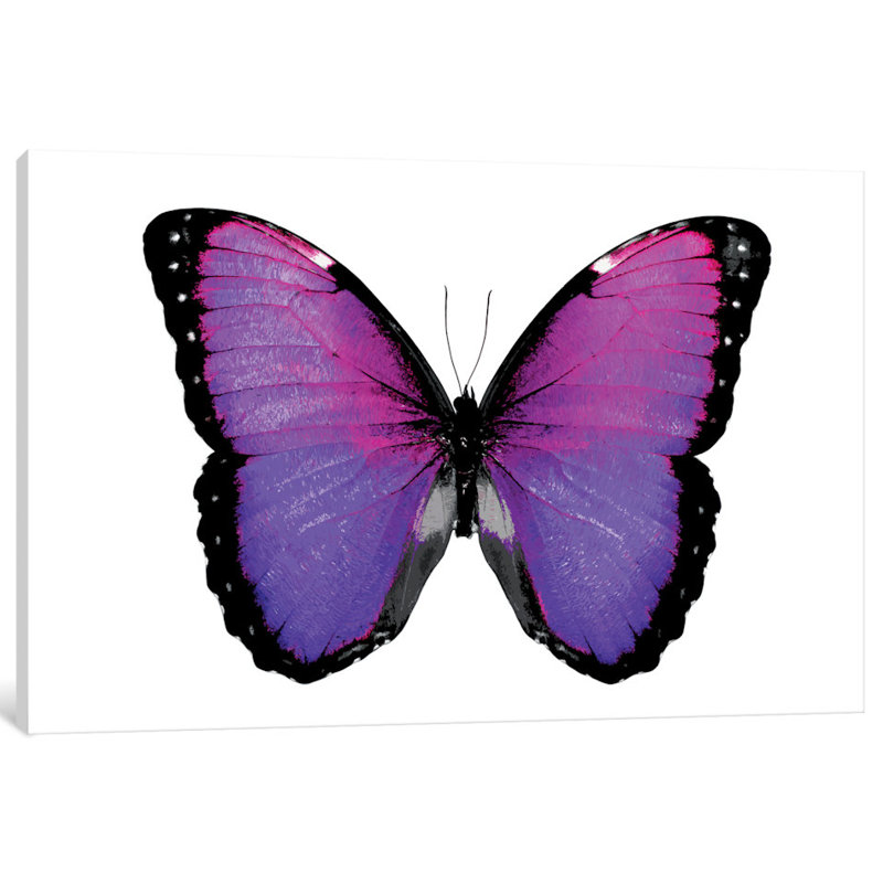 «Vibrant Butterfly IV» par Julia Bosco, impression sur toile tendue, H 12 po x l 18 po x P 1,5 po
