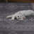Maril Ivan Washable Grey And Ivory Runner Rug-649663775