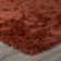 Petrey Indoor Rug