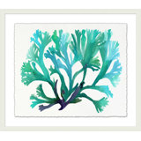 Transparaent Sea Life 2 Print
