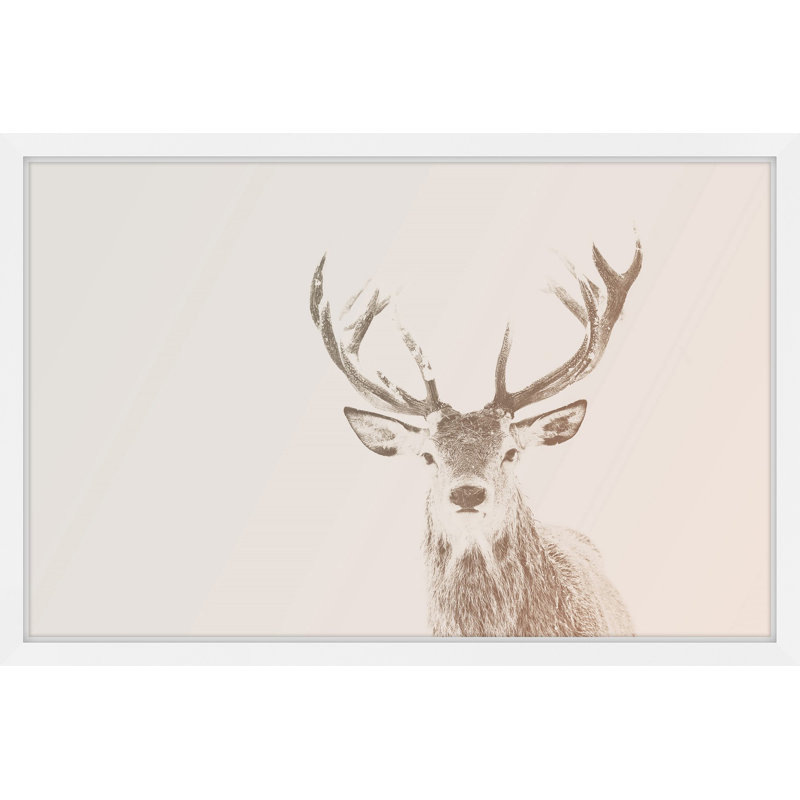 Parvez Taj - Single Picture Frame Print, 41cm H x 61cm W x 3.81cm D
