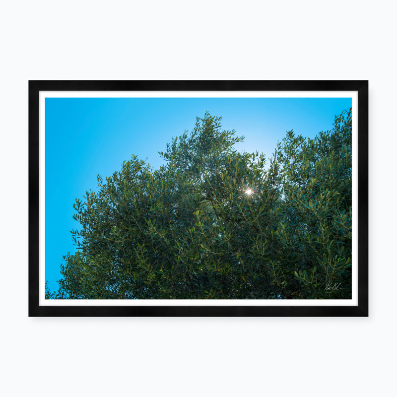 Olive Sun - photographie avec cadre photo