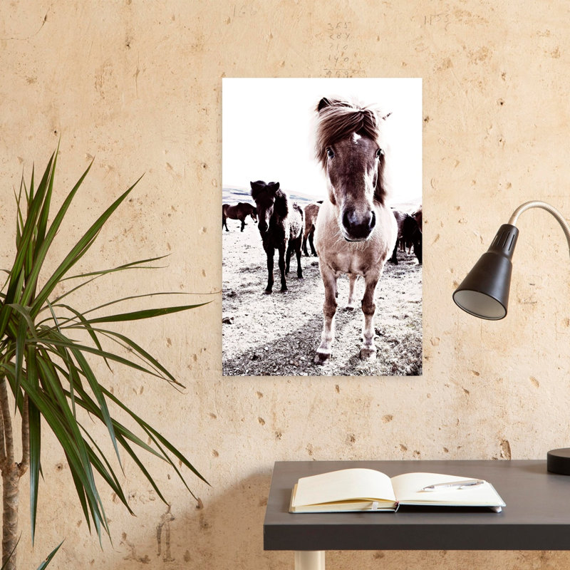 Islande, cheval, Rikka, art contemporain abstrait, paysage de cheval