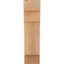 Corbeau méditerranéen-829457726-829457910-829457904