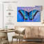 Papillon bleu Brampt-108000464