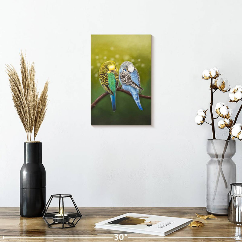 Budgie Siesta, H 12 po x l 8 po