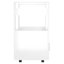 60 Cm Kitchen Trolley-1998515266