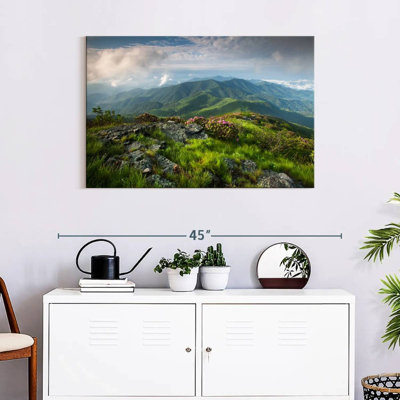Alvord majestueux Blue Ridge Mountains