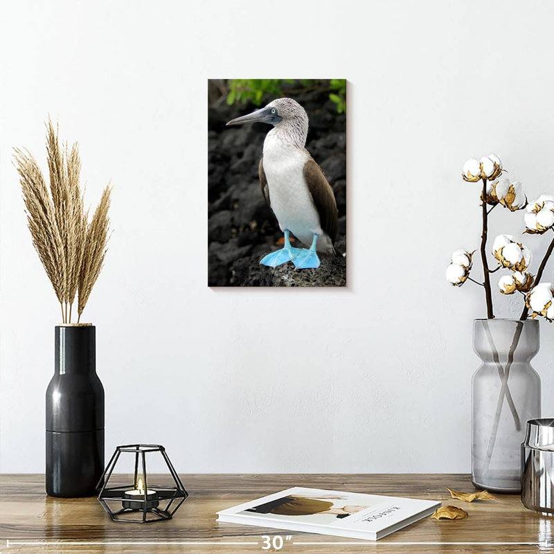 Brampt Blue-Footed Booby Birds, 12" H x 8" W