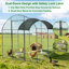 6m² Chicken Run