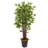 74'' Faux Bamboo Tree in Metal Planter