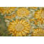 Nappe Nicholes-1437240229-1432090350