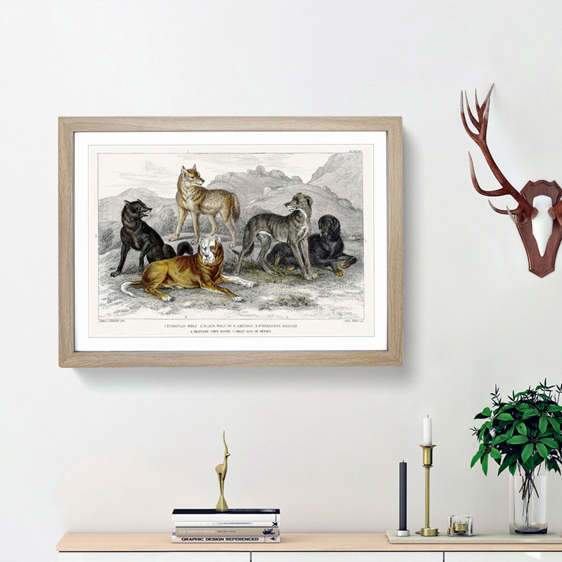 Wolves & Hounds by Oliver Goldsmith - Picture Frame Painting Print, 36cm H x 48cm W x 2cm D, Oak Framed