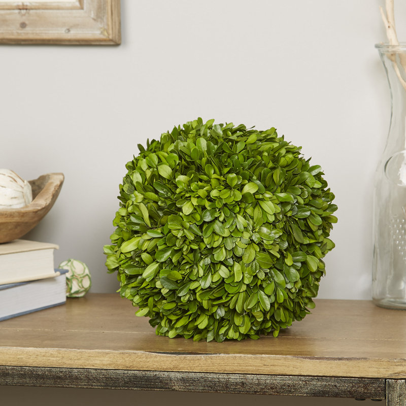 Preserved Greens Topiary, Hedge Plant in, 8" H x 8" W x 8" D