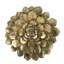 Plaque murale succulente D10,2 x 2,4 po
