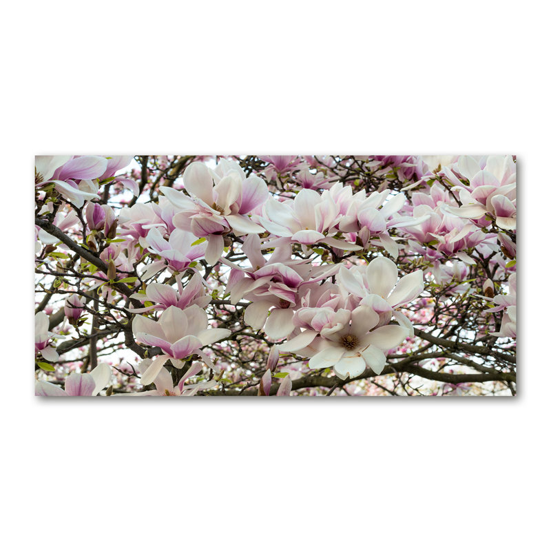 Magnolia Flowers - Wrapped Canvas Print, Canvas, 50cm H x 100cm W