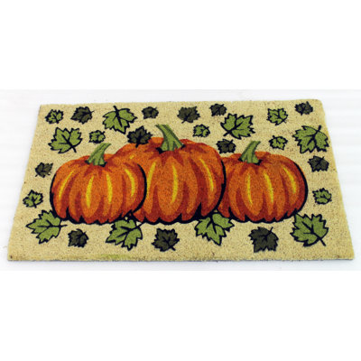 Aeroome Non-Slip Doormat