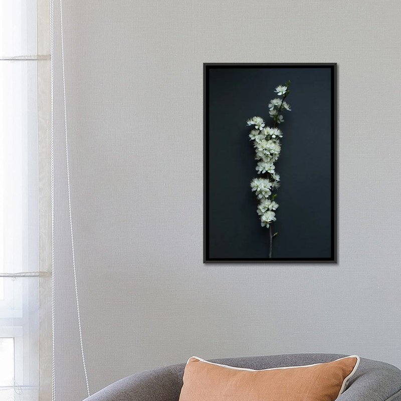 «Blackthorn Blossom» par Alyson Fennell - impression sur toile tendue, H 26 po x l 18 po x P 1,5 po, Toile avec cadre noir