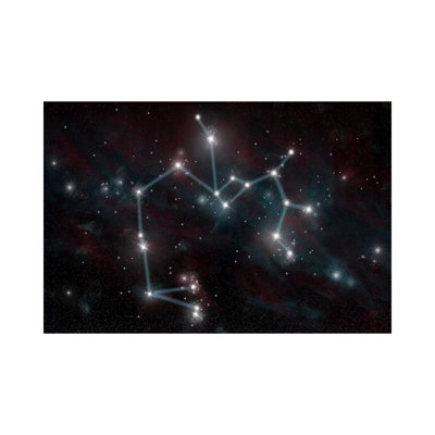 The Constellation Sagittarius The Archer by Marc Ward - Wrapped Canvas Print