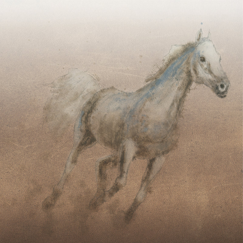 Stallion I On Leather by James Wiens - Wrapped Canvas Painting, 91cm H x 91cm W