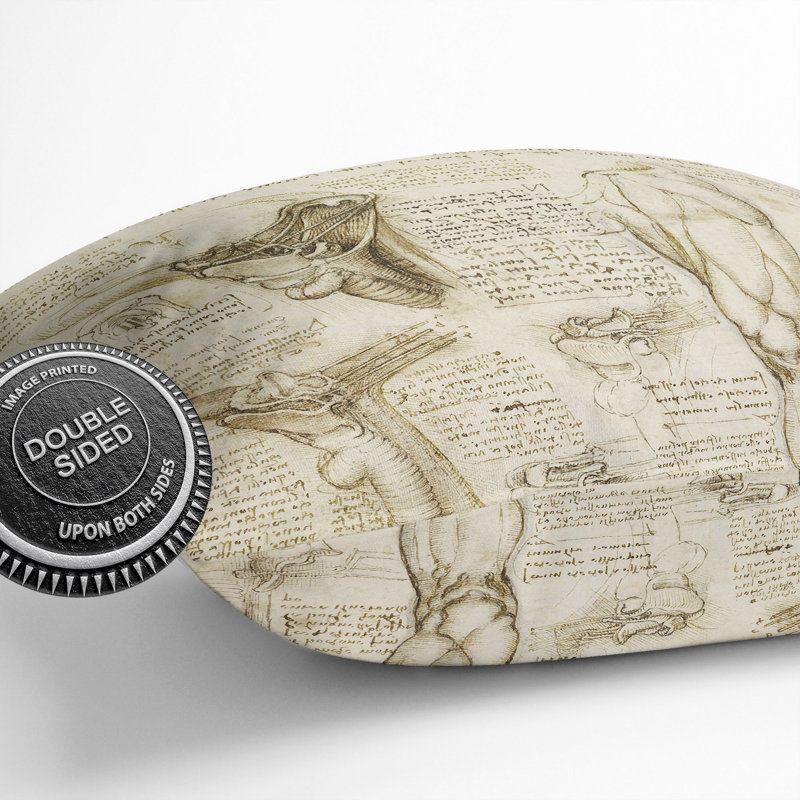 Human Anatomy Vol.7 Square Throw Cushion, Brown, 55cm H x 55cm W x 20cm D