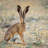 European Hare Stands On The Ground And Looking At The Camera by MriyaWildlife - Wrapped Canvas Print-1128585482