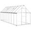 Charika 14.5 Ft W x 5.5 Ft D Greenhouse-368405613-348475199