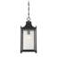 Savoy House Dunnmore 1-Light Outdoor Hanging Lantern in Black