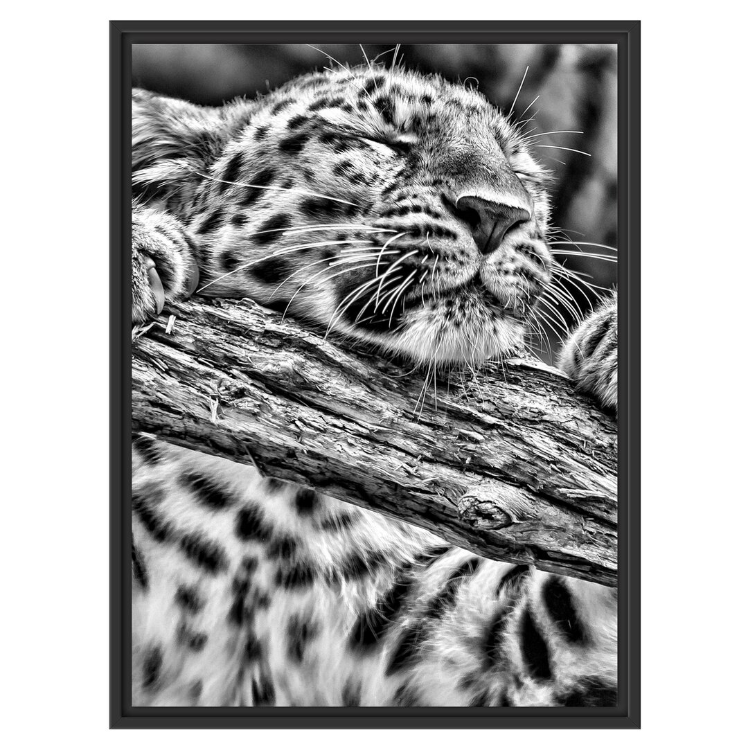 Gerahmtes Wandbild verspielter Leopard