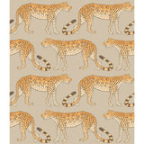 Ardmore Wallpaper Roll