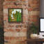  «Exotic Garden 1» par Chariklia Zarris, art mural sur toile, 12 po x 12 po