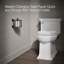 Artifacts® Toilet Tissue Carriage-1073307769